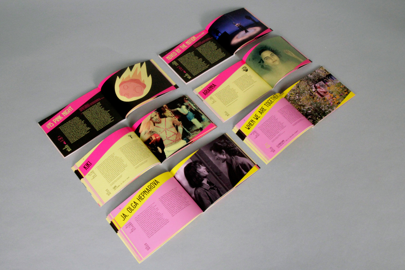 Pink Screens 2016 booklet program